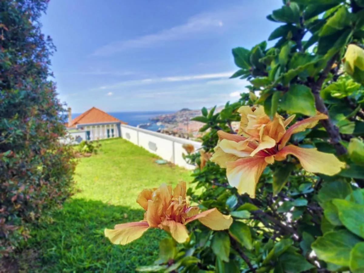 Avocado Villa By Lovelystay Funchal  Portugal